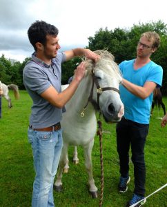 Unge ledere træner samarbejde med Hesteassisteret læring sammen med Nanna Morgunbirta fra Isafold